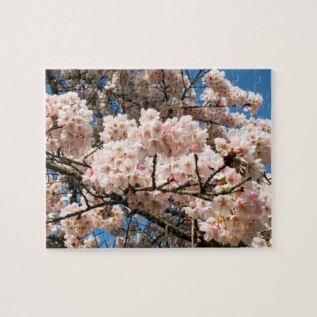 Puzzle Cherry Tree in Bloom, Oregon (Horizontal)