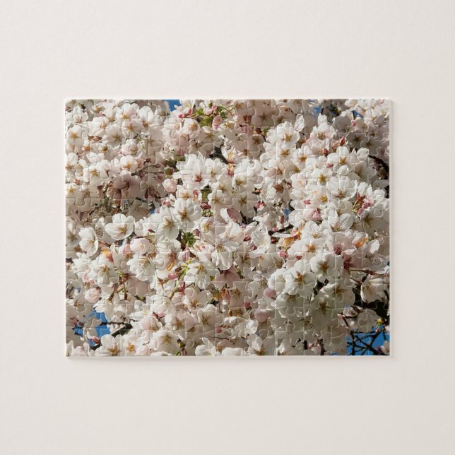 Puzzle Cherry Tree in Bloom, Oregon (Horizontal)