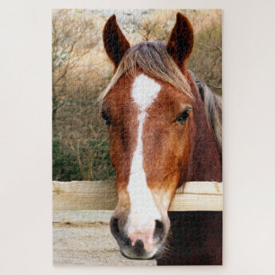 PUZZLE CHESNUT HORSE