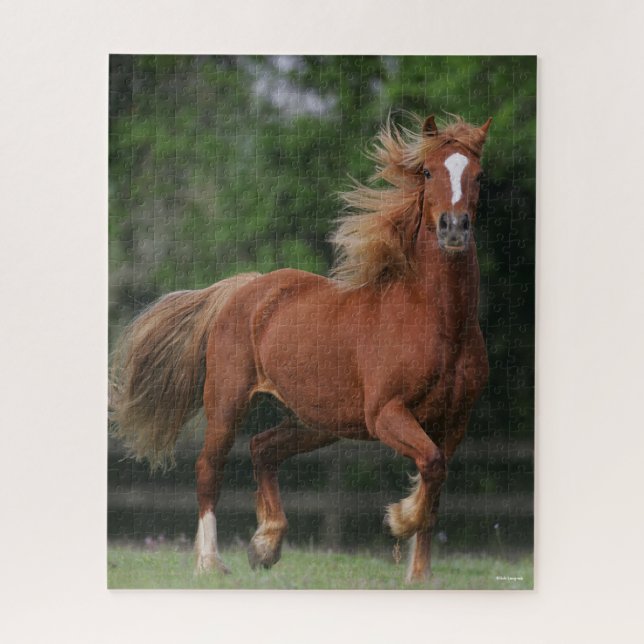 Puzzle Chestnut Welsh Pony Mane et Flux de queue (Vertical)