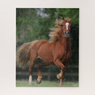 Puzzle Chestnut Welsh Pony Mane et traîne