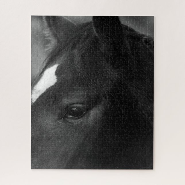 Puzzle Cheval 16x20 520pc jpcna (Vertical)