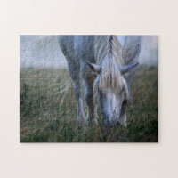 Cheval blanc