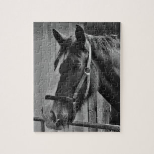 Puzzle Cheval blanc noir - art animal de photographie