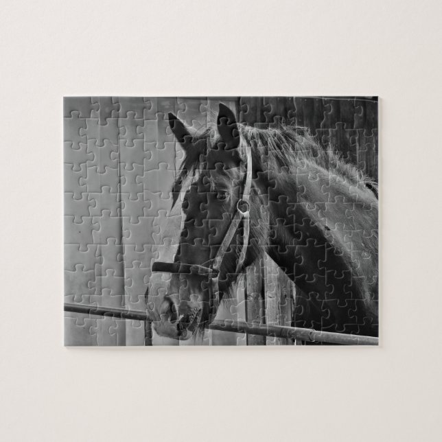 Puzzle Cheval blanc noir - Art de la photographie animale (Horizontal)