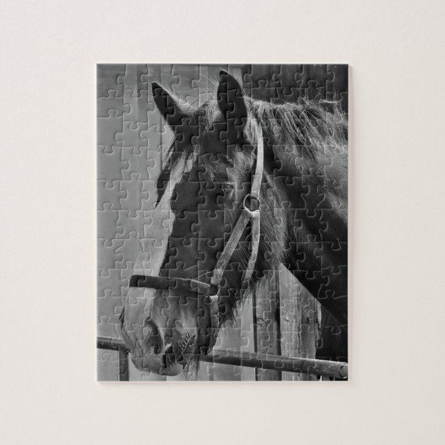 Puzzle Cheval blanc noir - Art de la photographie animale (Vertical)