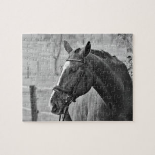 Puzzle Cheval blanc noir - Art de la photographie animale