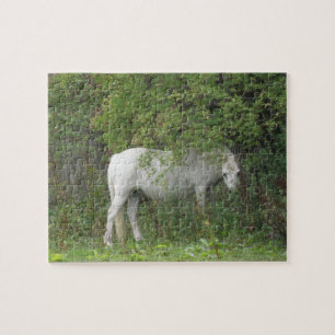 Puzzle Cheval Blanc timide