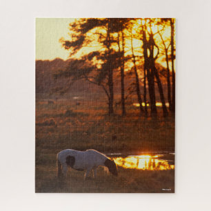 Puzzle Cheval Chincoteague Bob Langrish Pâturage Au Couc