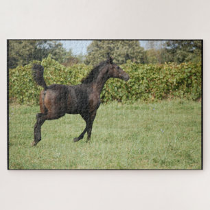 Puzzle Cheval Courir sur le terrain