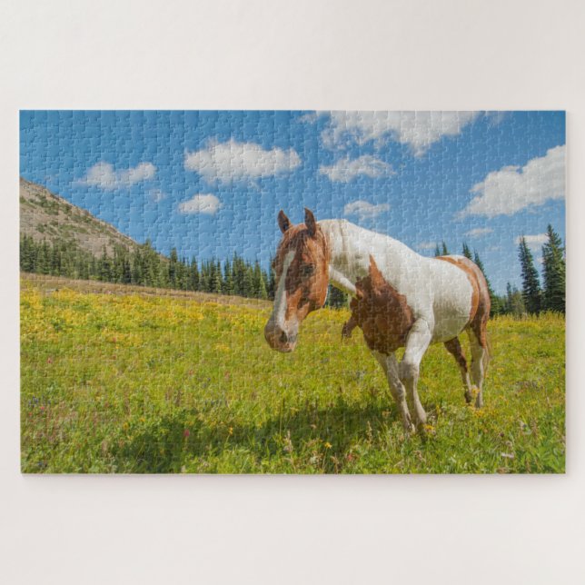 Puzzle Cheval curieux dans une prairie alpine en été (Horizontal)
