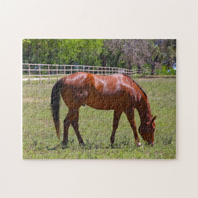 Puzzle Cheval de châtaignes en campagne (Horizontal)