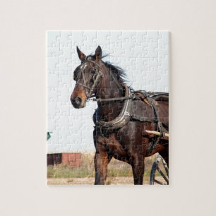 Puzzle Cheval de l'Amish rural et buggy