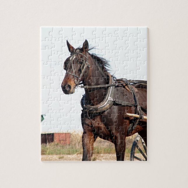 Puzzle Cheval de l'Amish rural et buggy (Vertical)