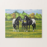 Puzzle Cheval De L'Appaloosa Noir Dans Le Pâturage D'Été<br><div class="desc">Une famille d'appaloosas noirs dans les pâturages d'été.</div>