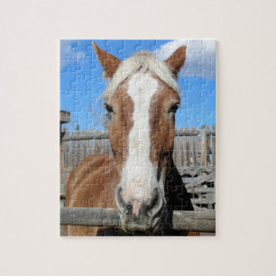 Puzzle Cheval de trait belge