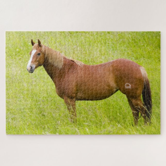 Puzzle Cheval en champ de printemps (Horizontal)