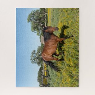 Puzzle Cheval en Medow