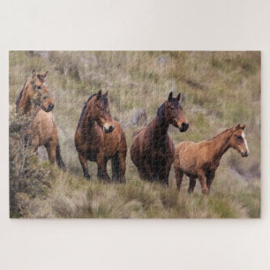 Puzzle Cheval équestre