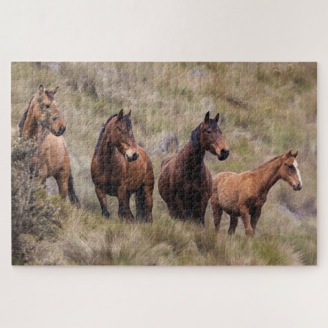 Puzzle Cheval équestre (Horizontal)