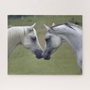 Puzzle Cheval équestre