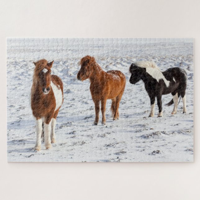 Puzzle Cheval islandais avec manteau d'hiver typique (Horizontal)