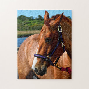 Puzzle Cheval majestueux