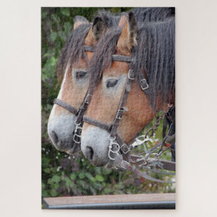 Puzzle Cheval Paire équestre de Clydesdales