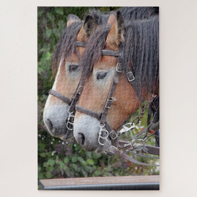 Puzzle Cheval Paire équestre de Clydesdales (Vertical)