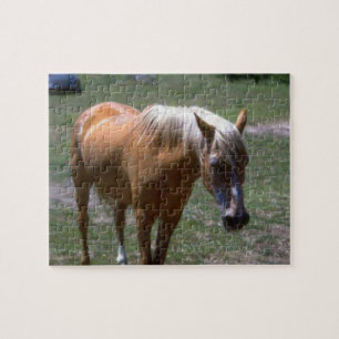 Puzzle Cheval Palomino