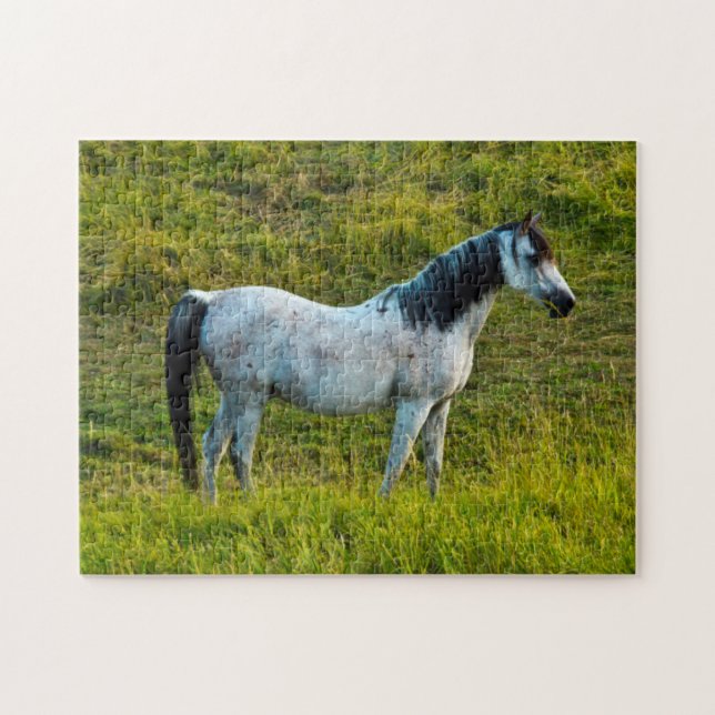 Puzzle cheval Palouse, Colfax, région de Palouse, Washing (Horizontal)
