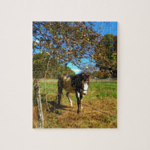 Puzzle Cheval Peint,