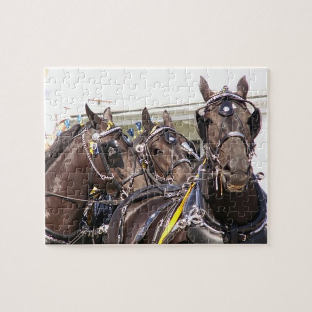 Puzzle Cheval Percheron (Horizontal)