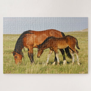Puzzle Cheval sauvage Mère et Colt pâturage