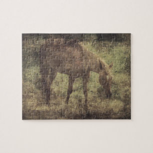 Puzzle Cheval Souvenirs Grunge