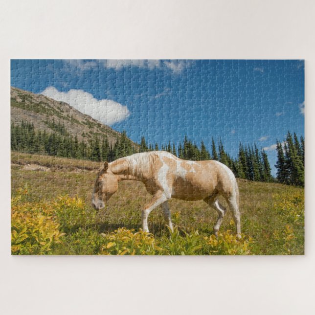 Puzzle Cheval sur herbes dans une prairie alpine en été (Horizontal)