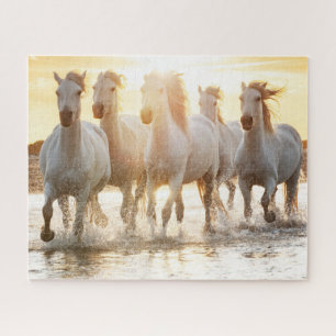 Puzzle Chevaux blancs sur la plage au coucher du soleil