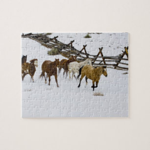 Puzzle Chevaux courant dans la neige