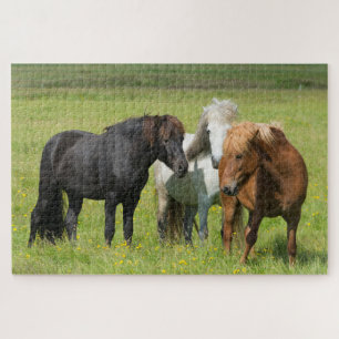 Puzzle Chevaux dans le ranch, sud de l'Islande
