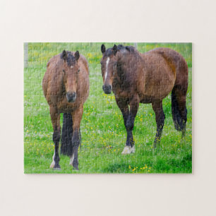 Puzzle Chevaux dans un champ