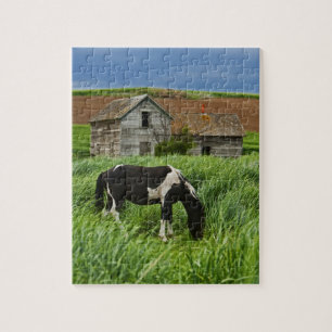 Puzzle Chevaux dans un champ dans la Palouse 2