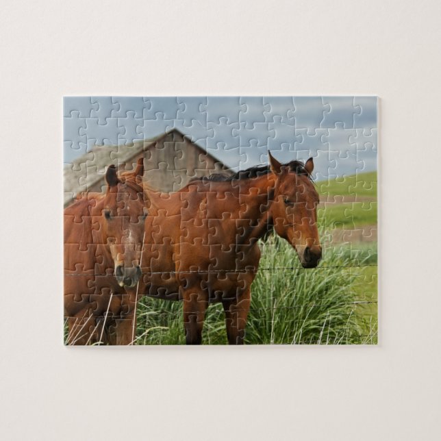 Puzzle Chevaux dans un champ dans le Palouse 3 (Horizontal)