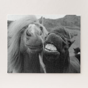 Puzzle Chevaux de sourire des images   de Getty