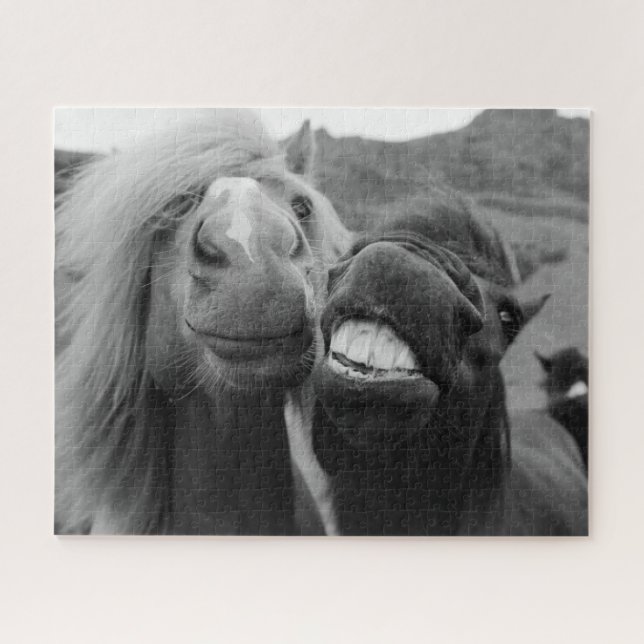 Puzzle Chevaux de sourire des images | de Getty (Horizontal)