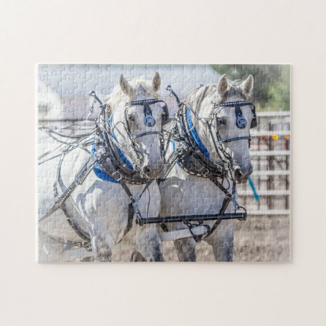 Puzzle Chevaux d'équipe Grey Perchon (Horizontal)