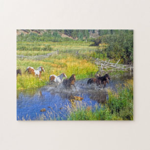 Puzzle Chevaux du Montana.