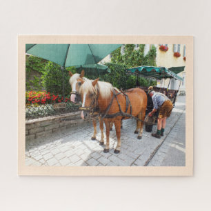 Puzzle Chevaux et calèche en Autriche