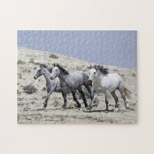 Puzzle Chevaux Gris Sauvages