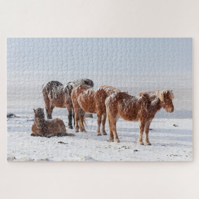 Puzzle Chevaux islandais couverts de neige (Horizontal)