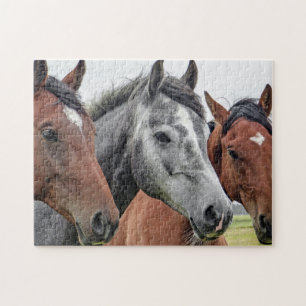 Puzzle Chevaux mignons